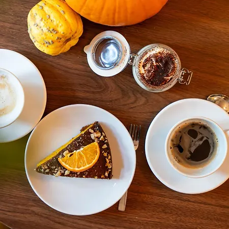 Great Polonia Dwarf Panzió