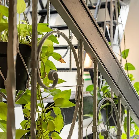 Great Polonia Dwarf Отель типа 